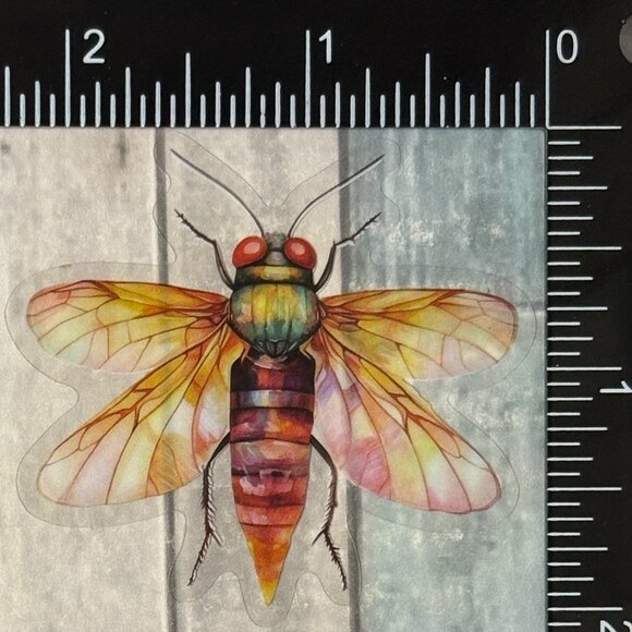 ๐10/$10๐ Translucent Moth Dragonfly Beetle Reusable Waterproof Sticker Decal - Picture 1 of 1